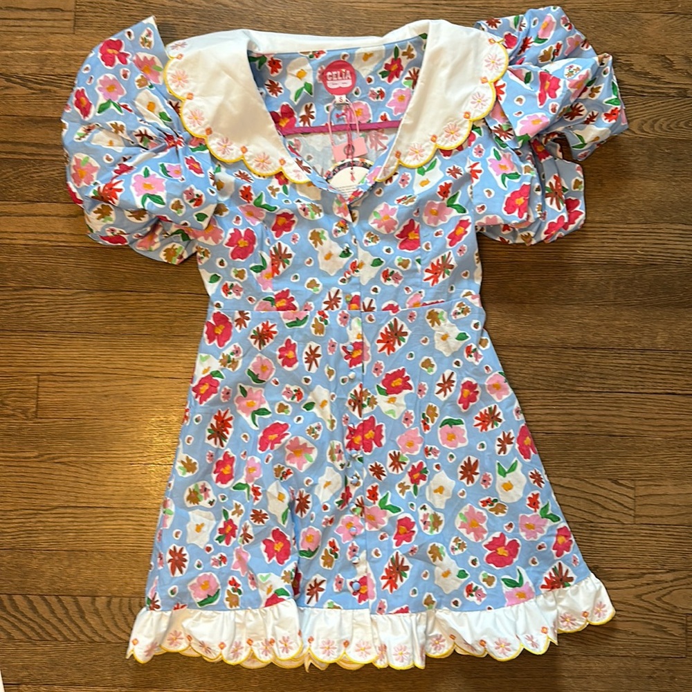 https://celiab.com/products/moonstone-dress